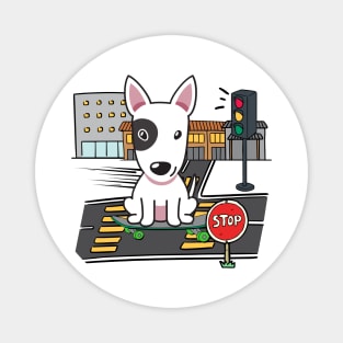 Funny bull terrier is on a skateboard Magnet